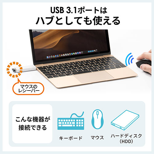 USB Type-Cカードリーダー(SD・microSD・USBハブ・スライドキャップ）