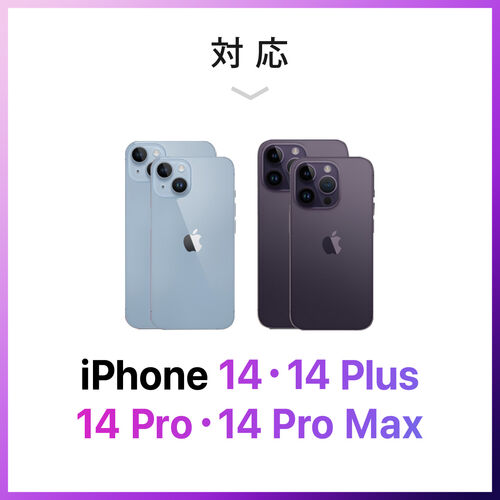 Qubii Pro iPhone iPad iOS 自動バックアップ（USB A・microSDカードリーダー機能・容量不足解消・グレー）