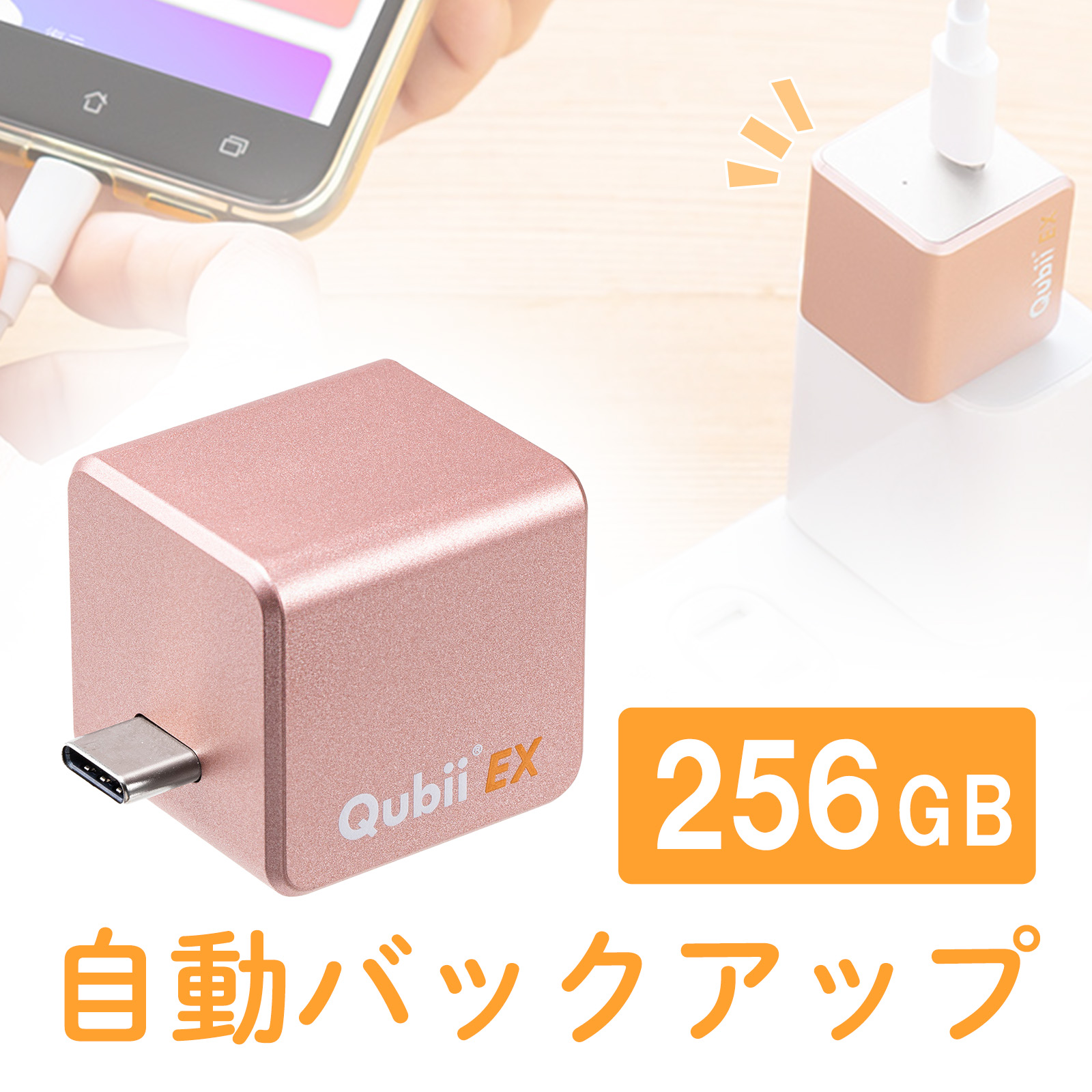 Qubii （EX・タイプC・256GB・メモリ内蔵 ・PD60W・高速充電 ・メモリ内蔵・Android・自動バックアップ・パソコン不要・iPad・iPhone15）IPLBC256GP 