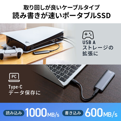 ポータブルSSD（高速タイプ・1TB・小型・外付け・Type-A/Type-Cケーブル付き・USB3.2 Gen2・テレビ録画・PS5/PS4/Xbox Series X）