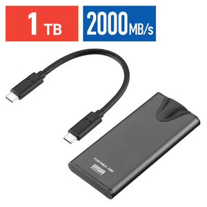 ポータブルSSD（1TB・読出最大2000MB/s・超小型・USB Type-C接続・USB20Gbps・USB3.2・Gen2×2・ケーブル型・シルバー）